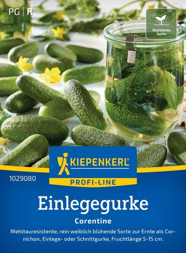 Kiepenkerl einlegegurkensamen - kiepenkerl,