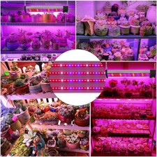 Led pflanzenlampe grow - pflanzenlampe,