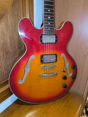 Gitarre cane 460 samik - e-gitarre, 41/460
