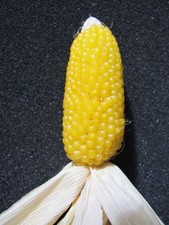 15 Korn  Gelbe Erdbeere