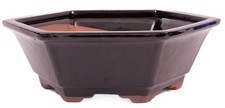 Bonsai - Schale 6-eckig 26.5