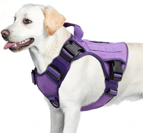 Taktisches hundegeschirr mit - taktisches,