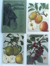 Deutschlands Obstsorten: 12te