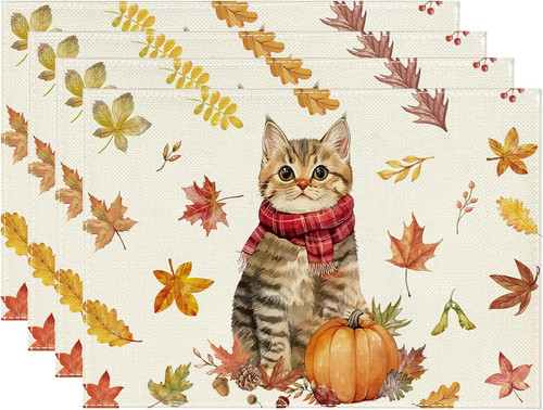 Katze kürbisse herbst - katze,