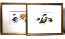 2St. Vintage Wandbilder Holzrahmen Farbe - Kupfer  30x25,5 Glaseinsatz  Muscheln