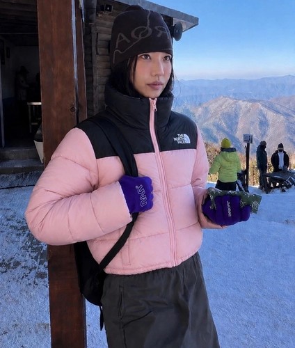 The north face - the,