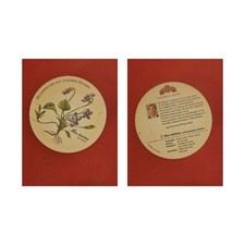 Meckatzer Löwenbräu