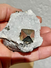 Pyrit Oktaeder auf Quarz aus