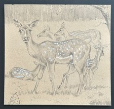 Damwild  von Johannes