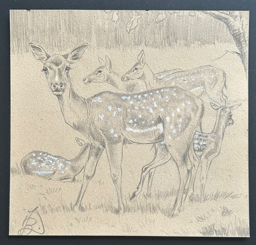 Damwild von johannes - damwild,