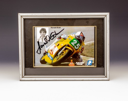 Harald eckl dutch kawasaki - harald,
