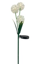 Solarlampe allium led außen - led,