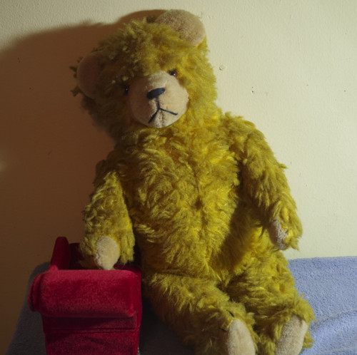 Alter teddybär bernstein - teddybär, bernstein,50