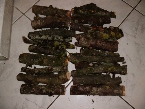 Holz,Apfelbaum,Aststücke,Bast