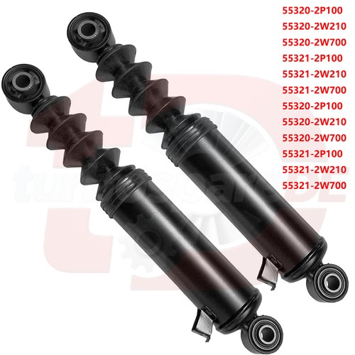 Stoßdämpfer hinten links - 2x,