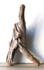 Treibholz Schwemmholz