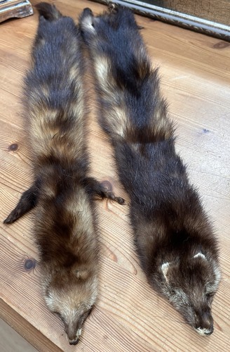 Nerz mink felle pelz - 2,