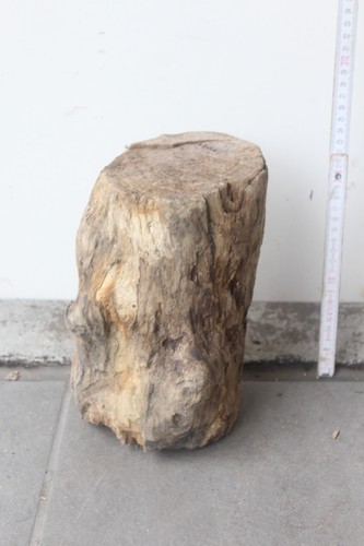 Toller treibholz schwemmholz - toller,