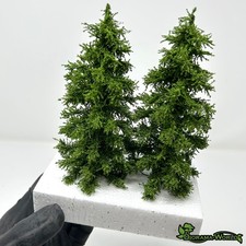 Fertige Fichten 15cm