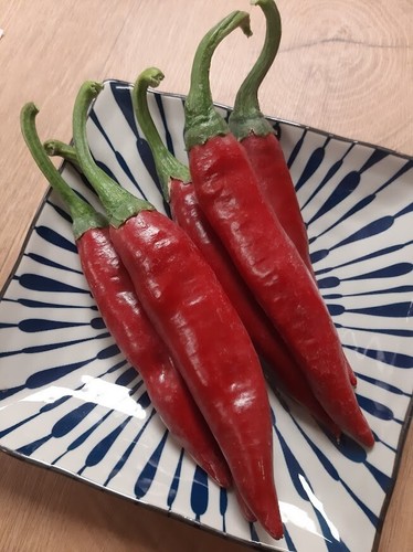 Szegedi gewürzpaprika chili - gewürzpaprika,