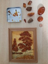 Bernsteinbild, Bernsteinsammlung