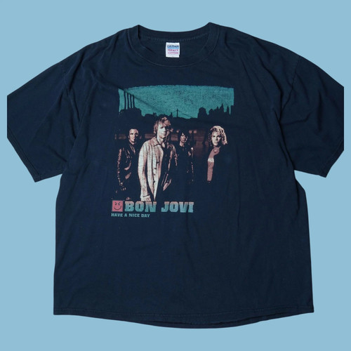 Vintage bon jovi 2000s have - jovi, a