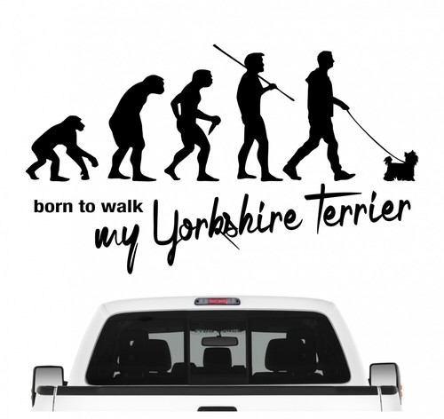 Yorkshire terrier yorkie - terrier,
