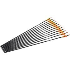 Pfeile Carbon 28 Zoll 12