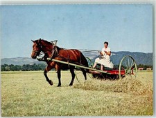 39749909 das freiberger - -,