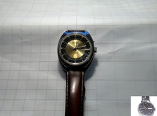 Klassisches Slava Model