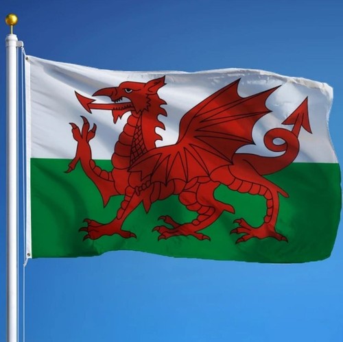 Wales flagge 150x90cm - wales,