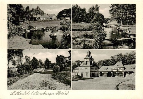 Lutterloh schwanenteich - lutterloh,
