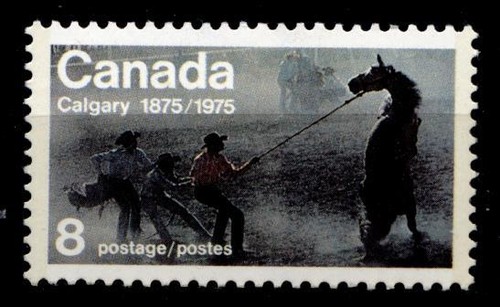 Wildpferd kanada 1975 - 1w.,