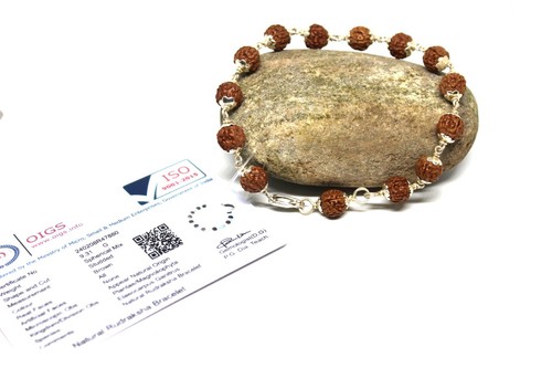 Zertifizierte rudraksha - zertifizierte,