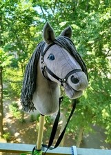Hobby Horse, Steckenpferd