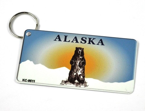 Usa alaska grizzlybär - usa,