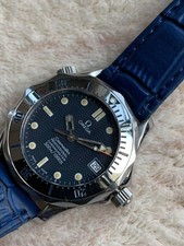 Omega Seamaster Professional