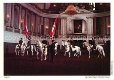 Wien Spanische Reitschule weisse Pferde