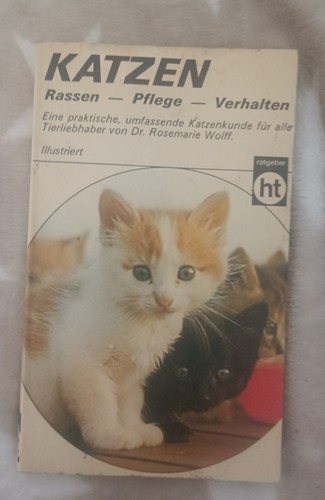 Katzen rassen pflege verhalten - katzen, rassen-pflege-verhalten