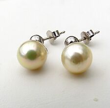 Südsee Perlen Ohrringe