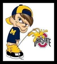 Michigan Wolverines Sticker
