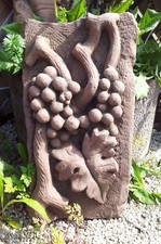 Wein Rebe Rebstock Weinstock