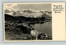 10154381 - Berliner Huette Huettenstempel Bergschafe