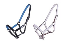 Schöne Fohlenhalfter Leder