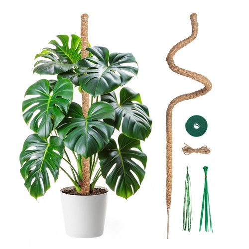 120cm monstera rankhilfe - monstera,