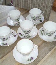 Duchess China Highland Beauty