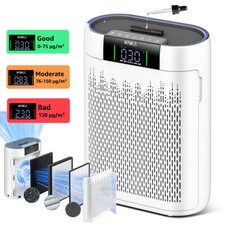 Luftreiniger, Luftreiniger