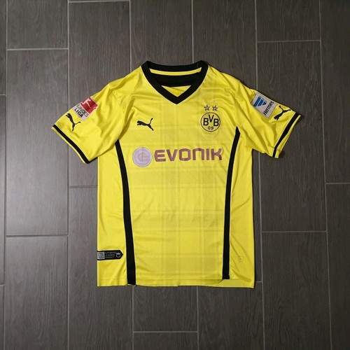 Borussia dortmund bvb - dortmund, 2013/14