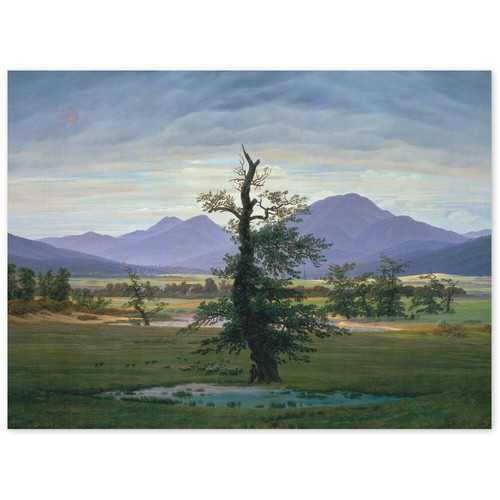 Caspar david friedrich - david,