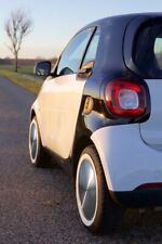 4x Moon Caps + Weißwandringe